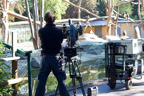 Thirteen Films About Life In Silicon Valley And Startups.